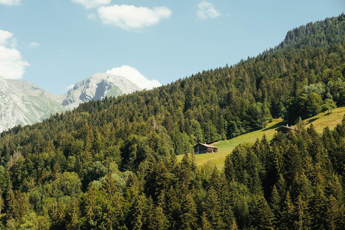 Découvrez les activités locales et durables de l'été au Grand-Bornand